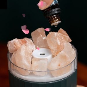 Diffuser Essential Oil Humidifier