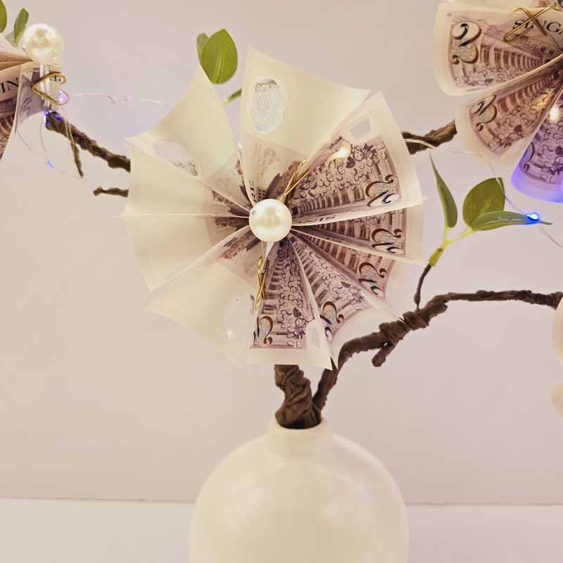 Prosperity Money Tree Singapore 6 Prosperity Money Tree Singapore - Image 6