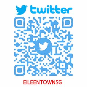 Social Media Channels 9 Eileen Town Twitter